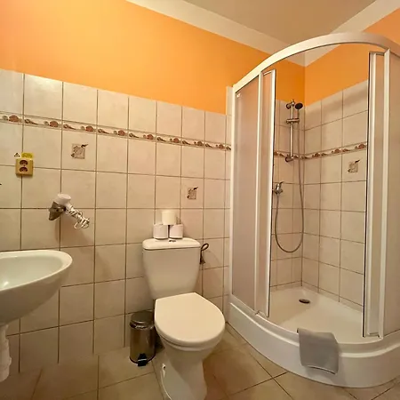 בית הארחה Zirovice 3*